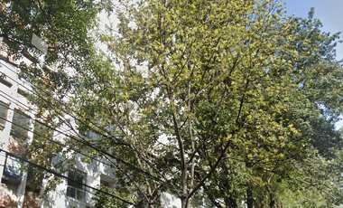 Av. Insurgentes Sur
