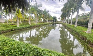 CASA CAMPESTRE EN VENTA SECTOR MOCARI URBANIZACION LAGOS DEL NORTE MONTERIA