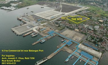 4.5 hectare industrial commercial lot beside Batangas International Port selling below zonal value