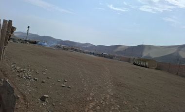 OCASION VENDO TERRENO INDUSTRIAL AV. CENTRAL $ 69m2 PARQUE PORCINO ZONA I VENTANILLA.