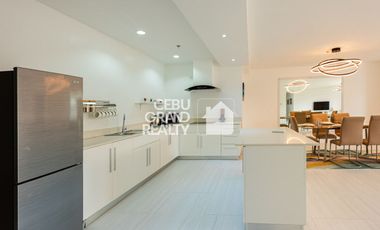 Fully Furnished 3 Bedroom Penthouse for Rent near IT Park