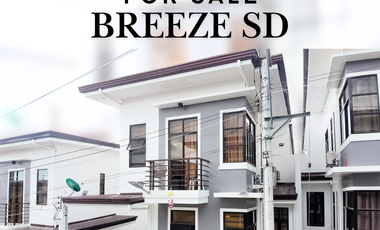 FOR SALE: Single Detached House and Lot at RicksVille Heights Home, Minglanilla