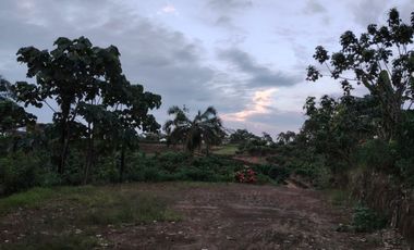 Vendo Quinta de 5000 m2 en Puerto Quito.