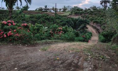Vendo Quinta de 5000 m2 en Puerto Quito.