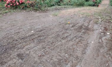Vendo Quinta de 5000 m2 en Puerto Quito.