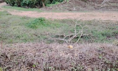 Vendo Quinta de 5000 m2 en Puerto Quito.