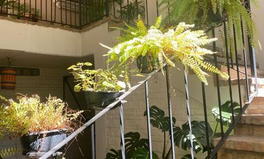 DEPARTAMENTO EN RENTA AMUEBLADO EN COLOMOS