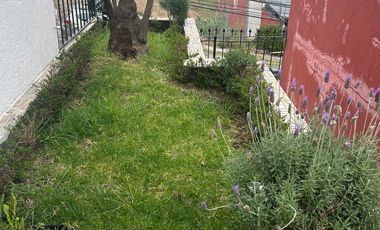 Vendo casa  de 4 recámaras construida en un solo piso en Arboledas a unos metros de Jinetes