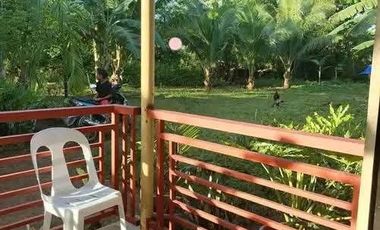 House and lot in Lourdes Panglao