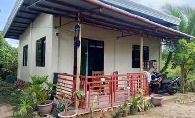 House and lot in Lourdes Panglao