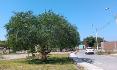 Terreno residencial en Sol de Ica XIV etapa – Frente de 6 ml, vista a parque, PORTALES