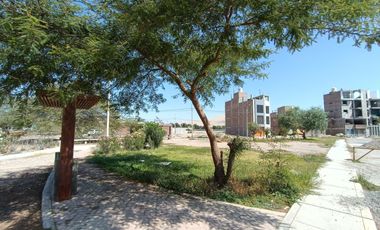 Terreno residencial en Sol de Ica XIV etapa – Frente de 6 ml, vista a parque, PORTALES