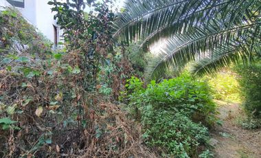 Terreno en Venta en San Pedro de los Pinos