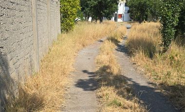 Terreno en Renta en Zinacantepec $65 x m²