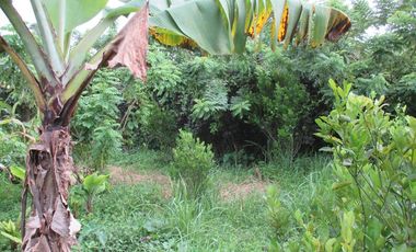 RESIDENTIAL FARMLOT