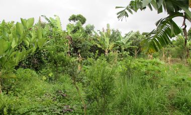 RESIDENTIAL FARMLOT