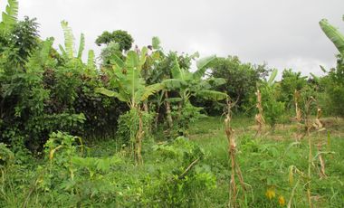 RESIDENTIAL FARMLOT
