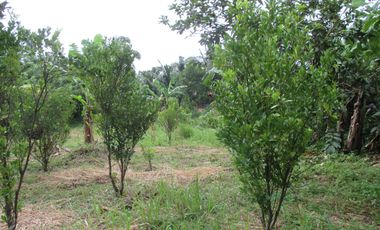 RESIDENTIAL FARMLOT