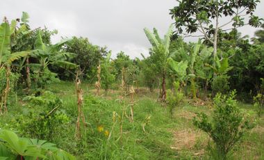 RESIDENTIAL FARMLOT