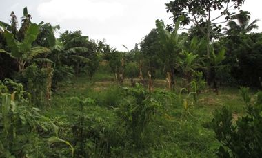 RESIDENTIAL FARMLOT