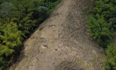 SE VENDE LOTE DE  18571MT2 EN ALTO BONITO, SECTOR FRAILES (DOSQUEBRADAS)