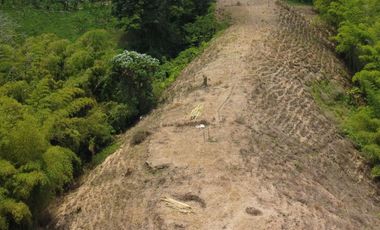 SE VENDE LOTE DE  18571MT2 EN ALTO BONITO, SECTOR FRAILES (DOSQUEBRADAS)