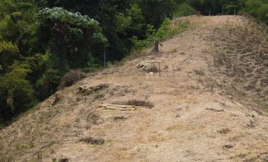 SE VENDE LOTE DE  18571MT2 EN ALTO BONITO, SECTOR FRAILES (DOSQUEBRADAS)