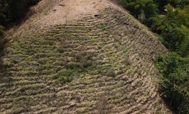 SE VENDE LOTE DE  18571MT2 EN ALTO BONITO, SECTOR FRAILES (DOSQUEBRADAS)