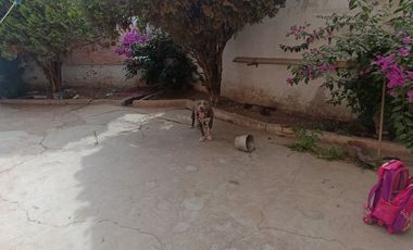 CASA EN VENTA EN EL MEJE, HIDALGO