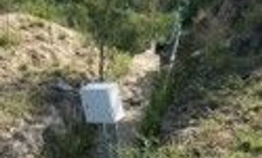 RANCHO EN VENTA EN CHINA, NUEVO LEON, RUMBO A GRAL BRAVO, TIERRAS MUY FERTILES, ABUNDANTE AGUA, FLORA Y FAUNA, 440 HAS A PUERTA CERRADA