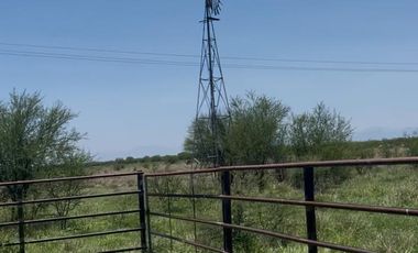 RANCHO EN VENTA EN GRAL TERAN, NUEVO LEON, A 26 KMS DEL CENTRO DEL MUNICIPIO, TIERRAS MUY FERTILES, ABUNDANTE AGUA, FLORA Y FAUNA, 243 HAS A P CERRADA