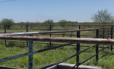 RANCHO EN VENTA EN GRAL TERAN, NUEVO LEON, A 26 KMS DEL CENTRO DEL MUNICIPIO, TIERRAS MUY FERTILES, ABUNDANTE AGUA, FLORA Y FAUNA, 243 HAS A P CERRADA