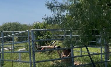 RANCHO EN VENTA EN GRAL TERAN, NUEVO LEON, A 26 KMS DEL CENTRO DEL MUNICIPIO, TIERRAS MUY FERTILES, ABUNDANTE AGUA, FLORA Y FAUNA, 243 HAS A P CERRADA