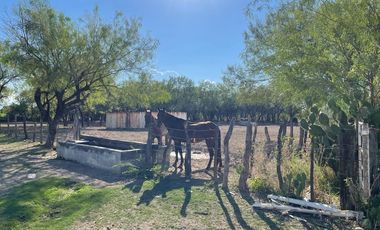 RANCHO EN VENTA EN GRAL TERAN, NUEVO LEON, A 24 KMS DEL CENTRO DEL MPO, TIERRAS MUY FERTILES, ABUNDANTE AGUA, FLORA Y FAUNA, 594 HAS, COLINDA CON RIO