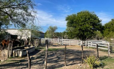 RANCHO EN VENTA EN GRAL TERAN, NUEVO LEON, A 24 KMS DEL CENTRO DEL MPO, TIERRAS MUY FERTILES, ABUNDANTE AGUA, FLORA Y FAUNA, 594 HAS, COLINDA CON RIO