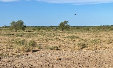 RANCHO EN VENTA EN GRAL TERAN, NUEVO LEON, A 24 KMS DEL CENTRO DEL MPO, TIERRAS MUY FERTILES, ABUNDANTE AGUA, FLORA Y FAUNA, 594 HAS, COLINDA CON RIO