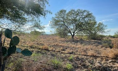 RANCHO EN VENTA EN GRAL TERAN, NUEVO LEON, A 24 KMS DEL CENTRO DEL MPO, TIERRAS MUY FERTILES, ABUNDANTE AGUA, FLORA Y FAUNA, 594 HAS, COLINDA CON RIO