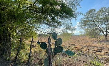 RANCHO EN VENTA EN GRAL TERAN, NUEVO LEON, A 24 KMS DEL CENTRO DEL MPO, TIERRAS MUY FERTILES, ABUNDANTE AGUA, FLORA Y FAUNA, 594 HAS, COLINDA CON RIO