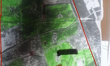 RANCHO EN VENTA EN GRAL TERAN, NUEVO LEON, A 24 KMS DEL CENTRO DEL MPO, TIERRAS MUY FERTILES, ABUNDANTE AGUA, FLORA Y FAUNA, 594 HAS, COLINDA CON RIO