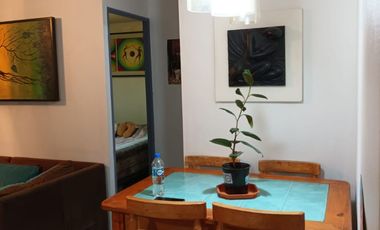HERMOSO DEPARTAMENTO/EXCELENTE CONECTIVIDAD EN SANTIAGO