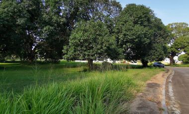 Prime Fairway Lot in The Orchard Golf & Country Club, Cavite – 714 Sq.m, Php 24.5M