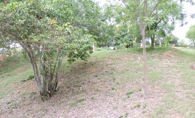 VENTA CASA LOTE DE RECREO, ADAPTABLE PARA RENTAS CORTAS O CABAÑAS