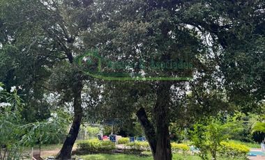 Vendemos finca con piscina privada
