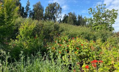 SE VENDE PROPIEDAD EN SAN JUAN, SAN ANTONIO