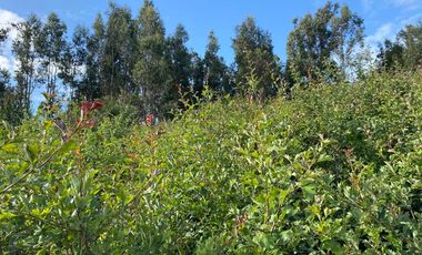 SE VENDE PROPIEDAD EN SAN JUAN, SAN ANTONIO