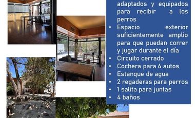 en renta hotel de perros, totalmente equipado León Moderno
