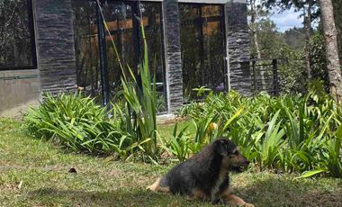 Venta Casa   Campestre de Lujo en el Bosque,  Para Estrenar, Excelente Ubicación, doble proposito:residencial y/o comercial.