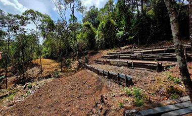 Venta Casa   Campestre de Lujo en el Bosque,  Para Estrenar, Excelente Ubicación, doble proposito:residencial y/o comercial.