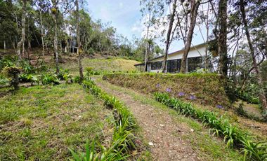 Venta Casa   Campestre de Lujo en el Bosque,  Para Estrenar, Excelente Ubicación, doble proposito:residencial y/o comercial.