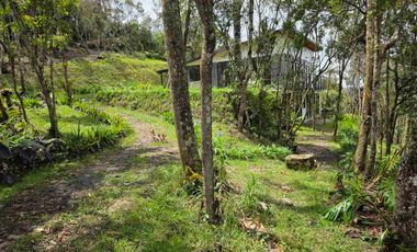 Venta Casa   Campestre de Lujo en el Bosque,  Para Estrenar, Excelente Ubicación, doble proposito:residencial y/o comercial.